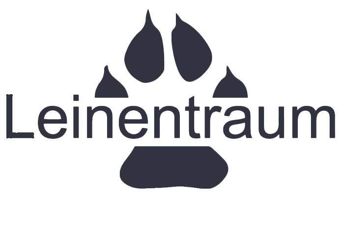 Zur Startseite gehen